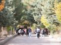 گزارش تصویری اردوی نو دانشجویان 1403